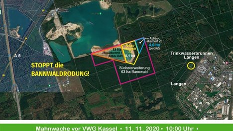Rodungsflaeche_Langener_Bannwald.jpg